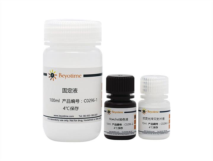 支原体染色检测试剂盒